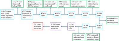 Brain metastasis from gastric adenocarcinoma: A large comprehensive population-based cohort study on risk factors and prognosis